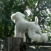 processed/c6210749-c40c-4e40-84aa-5322faface42/facility/d605368f-df55-4771-901c-27458f067a02