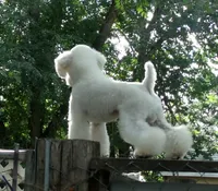 processed/c6210749-c40c-4e40-84aa-5322faface42/facility/d605368f-df55-4771-901c-27458f067a02