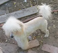 processed/c6210749-c40c-4e40-84aa-5322faface42/listing/6a50c992-3cbd-48c2-9dee-60591e8addb1/3f885a30-fd24-4d37-b4e2-0443e11bf93a