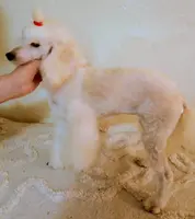 processed/c6210749-c40c-4e40-84aa-5322faface42/listing/6a50c992-3cbd-48c2-9dee-60591e8addb1/67f784a9-82c9-4e7f-a112-523fd8a000ae