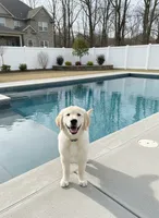 processed/c627d42b-75d9-4ab8-ae2d-c05a47cd9473/listing/18d29cec-6356-461b-a017-9c7fadf6d2cc/e2b23f00-efaa-4c68-af07-d6e332752404