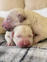 processed/c627d42b-75d9-4ab8-ae2d-c05a47cd9473/listing/33d32403-eef8-4b8f-bd8c-5c209b9864e2/028f2ab9-9900-4262-ae65-5608fc9f24b7