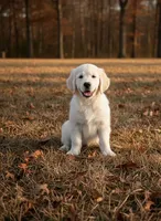 processed/c627d42b-75d9-4ab8-ae2d-c05a47cd9473/listing/33d32403-eef8-4b8f-bd8c-5c209b9864e2/6a19422c-f1d6-4900-9a61-e8c50940b653