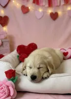 processed/c627d42b-75d9-4ab8-ae2d-c05a47cd9473/listing/33d32403-eef8-4b8f-bd8c-5c209b9864e2/c573953b-332d-48b0-ad2d-2a9e81528738