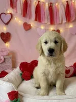 processed/c627d42b-75d9-4ab8-ae2d-c05a47cd9473/listing/33d32403-eef8-4b8f-bd8c-5c209b9864e2/f66d335a-2b74-4906-839f-c7eca6a7b710