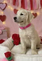 processed/c627d42b-75d9-4ab8-ae2d-c05a47cd9473/listing/47a9f92b-b80e-476e-ac68-1598312a30d3/4b1be54f-b3ea-4d4a-afb1-85db4ae7db9b