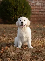 processed/c627d42b-75d9-4ab8-ae2d-c05a47cd9473/listing/47a9f92b-b80e-476e-ac68-1598312a30d3/50cbd758-c232-4bd6-96f1-349c786ee86d