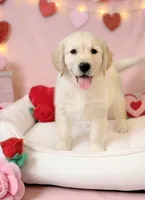 processed/c627d42b-75d9-4ab8-ae2d-c05a47cd9473/listing/7dba7aa2-d411-44e8-8d92-04490cd69fe4/b55418d4-d63e-40b3-81e0-67856e55bd17