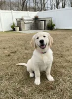 processed/c627d42b-75d9-4ab8-ae2d-c05a47cd9473/listing/7dba7aa2-d411-44e8-8d92-04490cd69fe4/cb8ecf9f-bb03-4b67-92b8-b379d06fb57b