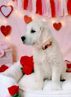 processed/c627d42b-75d9-4ab8-ae2d-c05a47cd9473/listing/df0fe45a-010f-4eec-ac1c-834db2f3077a/26d2e51b-d121-40be-a52d-d5985296e887