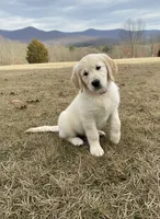 processed/c627d42b-75d9-4ab8-ae2d-c05a47cd9473/listing/ffac1ce8-80f0-4f15-bcc7-67e06653cbbc/426c318e-6cbd-4d62-86ce-628bf2ac5477