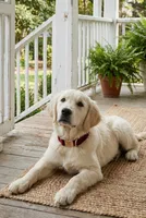 processed/c627d42b-75d9-4ab8-ae2d-c05a47cd9473/listing/ffac1ce8-80f0-4f15-bcc7-67e06653cbbc/431b1179-7dc8-441f-8cad-2ec5832c9fac