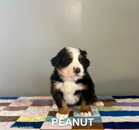 processed/c64bc01d-5798-4331-afcf-5da2ecd4b10d/listing/5a73ab2a-9320-4718-9b37-60d487a278ed/15a9ce10-7f1b-4a20-bad1-a047544341b2