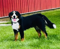 processed/c64bc01d-5798-4331-afcf-5da2ecd4b10d/listing/5a73ab2a-9320-4718-9b37-60d487a278ed/ef1a2898-8e08-46c8-8938-34908e93373d