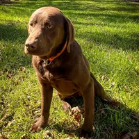 processed/c64e6755-d2fe-4966-a3a2-bc23d9ffa640/facility/10fde540-0202-4c4a-a169-cd21e14cfae9