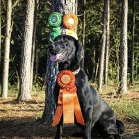 processed/c64e6755-d2fe-4966-a3a2-bc23d9ffa640/facility/18d267e1-d9d7-4543-b273-d7fd72baa1f9