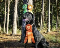 processed/c64e6755-d2fe-4966-a3a2-bc23d9ffa640/facility/18d267e1-d9d7-4543-b273-d7fd72baa1f9