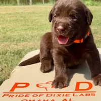 processed/c64e6755-d2fe-4966-a3a2-bc23d9ffa640/facility/24de53a8-3691-40c5-88f3-6e998cac7749