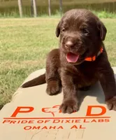 processed/c64e6755-d2fe-4966-a3a2-bc23d9ffa640/facility/24de53a8-3691-40c5-88f3-6e998cac7749