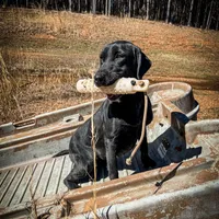 processed/c64e6755-d2fe-4966-a3a2-bc23d9ffa640/facility/2fd9eba6-0e90-450a-bd24-c19460a3a66c