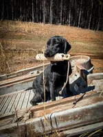 processed/c64e6755-d2fe-4966-a3a2-bc23d9ffa640/facility/2fd9eba6-0e90-450a-bd24-c19460a3a66c