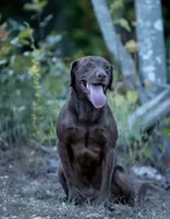 processed/c64e6755-d2fe-4966-a3a2-bc23d9ffa640/facility/943d4745-bd81-41cf-9eee-39623319b30a