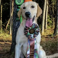 processed/c64e6755-d2fe-4966-a3a2-bc23d9ffa640/facility/96aef17f-b947-427a-a388-3d549fcad675