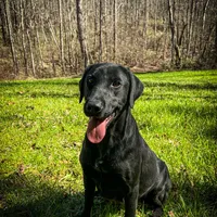 processed/c64e6755-d2fe-4966-a3a2-bc23d9ffa640/facility/c2269de8-0568-4a1b-b9e0-60a109e6f8b2