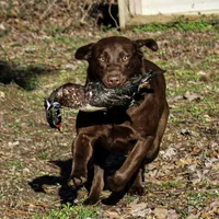 processed/c64e6755-d2fe-4966-a3a2-bc23d9ffa640/facility/c9826566-9936-4bbb-bf9c-fb4c0c3e4278