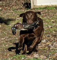 processed/c64e6755-d2fe-4966-a3a2-bc23d9ffa640/facility/c9826566-9936-4bbb-bf9c-fb4c0c3e4278