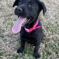 processed/c64e6755-d2fe-4966-a3a2-bc23d9ffa640/facility/df92ee61-0f9d-49fa-8176-4ab269f4b13d