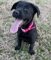 processed/c64e6755-d2fe-4966-a3a2-bc23d9ffa640/facility/df92ee61-0f9d-49fa-8176-4ab269f4b13d