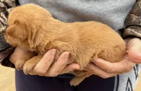 processed/c64e6755-d2fe-4966-a3a2-bc23d9ffa640/listing/5c1763ba-40a3-4dff-b494-3cd3c4c46b1b/2704821e-dc00-4e84-bb3a-e52478242f5e