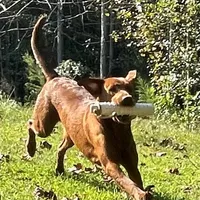 processed/c64e6755-d2fe-4966-a3a2-bc23d9ffa640/listing/5c1763ba-40a3-4dff-b494-3cd3c4c46b1b/4cf11345-0537-47e2-aef1-438cddb7a27b