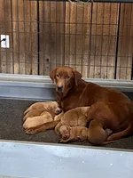 processed/c64e6755-d2fe-4966-a3a2-bc23d9ffa640/listing/5c1763ba-40a3-4dff-b494-3cd3c4c46b1b/4ef3879f-f3a9-4e8e-94df-8285fff88f16