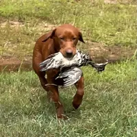 processed/c64e6755-d2fe-4966-a3a2-bc23d9ffa640/listing/5c1763ba-40a3-4dff-b494-3cd3c4c46b1b/65c17eb0-78f4-4b80-b078-67a92faa3112