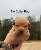 processed/c64e6755-d2fe-4966-a3a2-bc23d9ffa640/listing/5c1763ba-40a3-4dff-b494-3cd3c4c46b1b/d237fc58-70f4-4d27-b7a1-b28d4e20d5d7