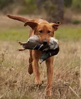 processed/c64e6755-d2fe-4966-a3a2-bc23d9ffa640/listing/5c1763ba-40a3-4dff-b494-3cd3c4c46b1b/d73025ad-78d2-4b21-9e9f-6d585573de7f