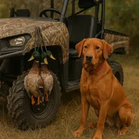 Tips-Kirby, a  Labrador Retriever for sale in Carrollton, GA – 2 of 2