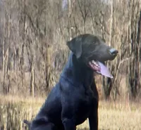 processed/c64e6755-d2fe-4966-a3a2-bc23d9ffa640/listing/db9f2501-a795-4cf9-bb9c-034b9af2142e/0daf77db-68df-444b-9a52-c9e413ecebfa