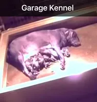 processed/c64e6755-d2fe-4966-a3a2-bc23d9ffa640/listing/db9f2501-a795-4cf9-bb9c-034b9af2142e/1cab2cdc-a019-4a12-b415-80ab817a47e9