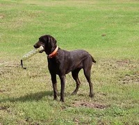 processed/c64e6755-d2fe-4966-a3a2-bc23d9ffa640/listing/db9f2501-a795-4cf9-bb9c-034b9af2142e/6e8903df-9f95-4982-8ce8-6ebdf78e7eba