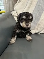 processed/c658dd95-64ed-46bb-af4f-dd1a68e71e84/listing/358b74d4-24fe-4b3c-abe0-528a92da2da4/302ee273-64fe-4bfb-a85c-8a439921eb97