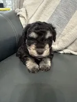 processed/c658dd95-64ed-46bb-af4f-dd1a68e71e84/listing/358b74d4-24fe-4b3c-abe0-528a92da2da4/430db6ab-f6c0-41fc-b518-845454182570