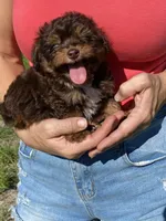 processed/c658fa80-fb7c-4d6a-8ba2-95073e341297/listing/1d8ae399-ca37-4560-bb7a-f418922d2732/b084ed25-8fe7-4c41-a371-4310ae862d66