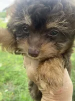 processed/c658fa80-fb7c-4d6a-8ba2-95073e341297/listing/1d8ae399-ca37-4560-bb7a-f418922d2732/b61c3972-bec7-4f50-bec5-4e68709397f1