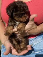 processed/c658fa80-fb7c-4d6a-8ba2-95073e341297/listing/1d8ae399-ca37-4560-bb7a-f418922d2732/ba733cdc-04ef-46c0-b471-33721fdd0f49