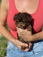 processed/c658fa80-fb7c-4d6a-8ba2-95073e341297/listing/1d8ae399-ca37-4560-bb7a-f418922d2732/c35ab00e-f922-4d5f-bcf8-176dade9a7fc