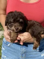 processed/c658fa80-fb7c-4d6a-8ba2-95073e341297/listing/1d8ae399-ca37-4560-bb7a-f418922d2732/fcbaa891-579f-4754-a28c-8fe6000f74a0