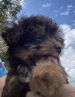 processed/c658fa80-fb7c-4d6a-8ba2-95073e341297/listing/4146d07e-b61a-4dc7-847f-61c585df8621/2096b833-4d7d-43ff-afc4-24ce272d2404